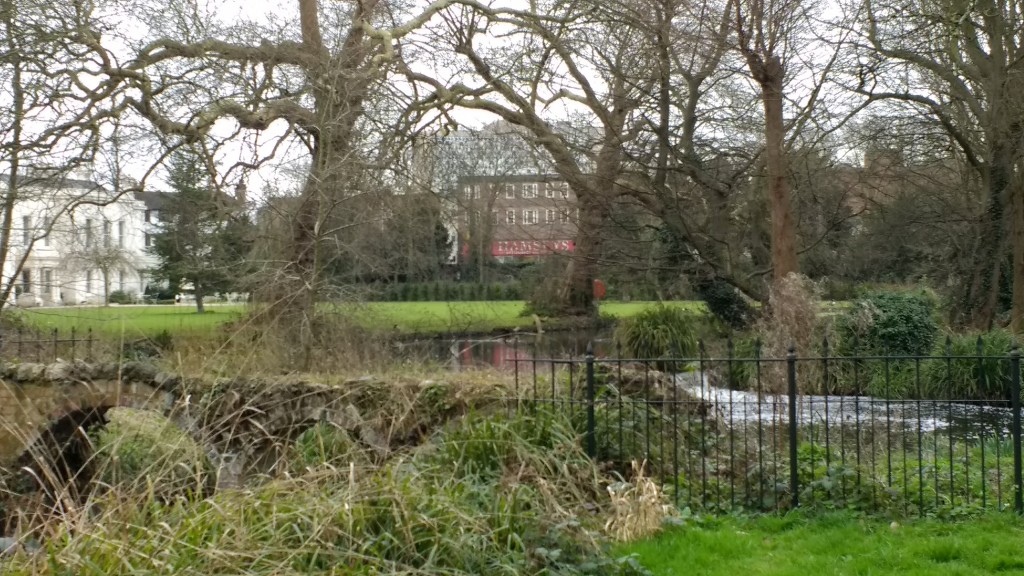 IMG_20170310_114839265